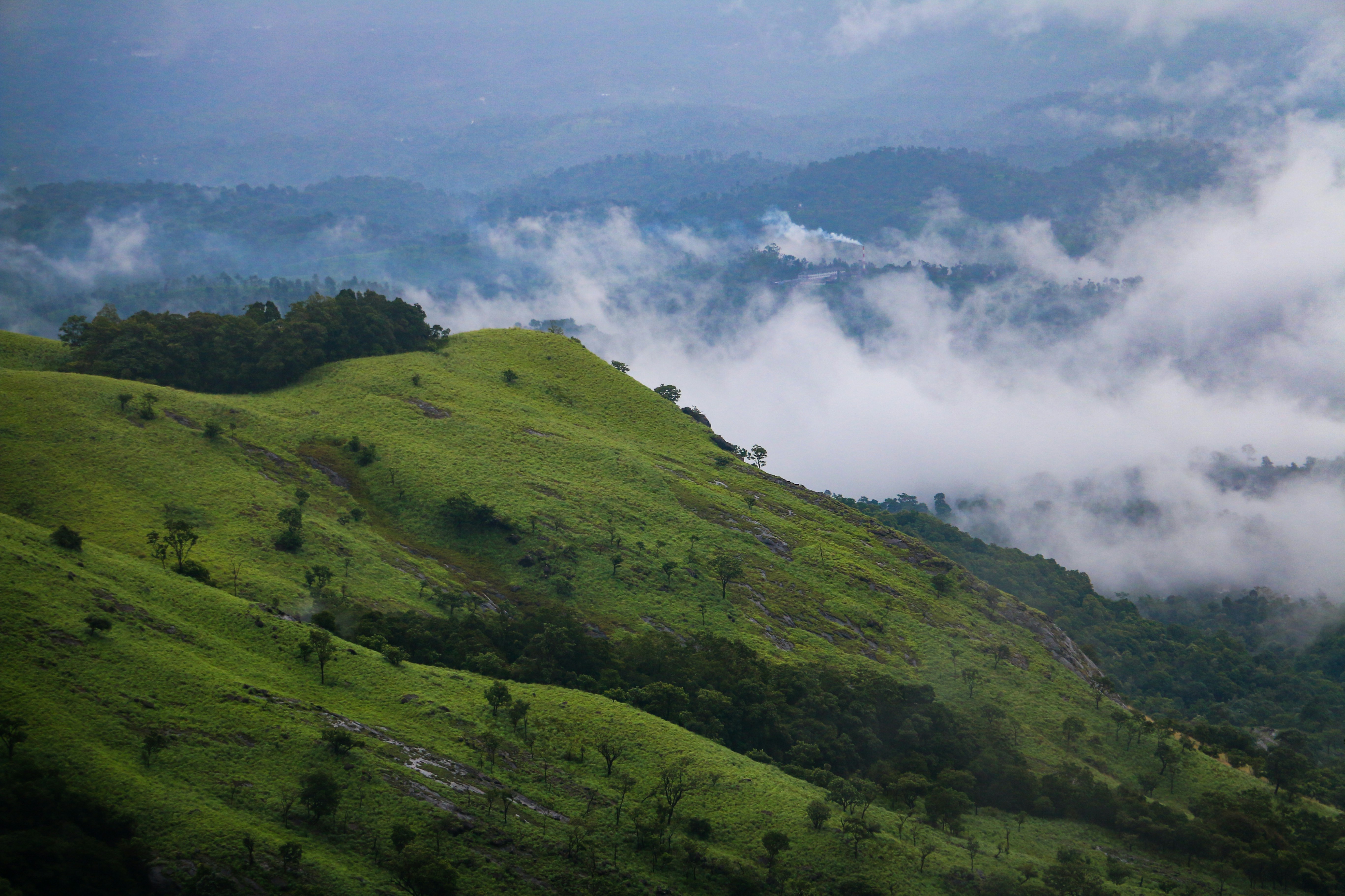 Monsoon at Forest Maze: Wayanad's Best-Kept Secret
