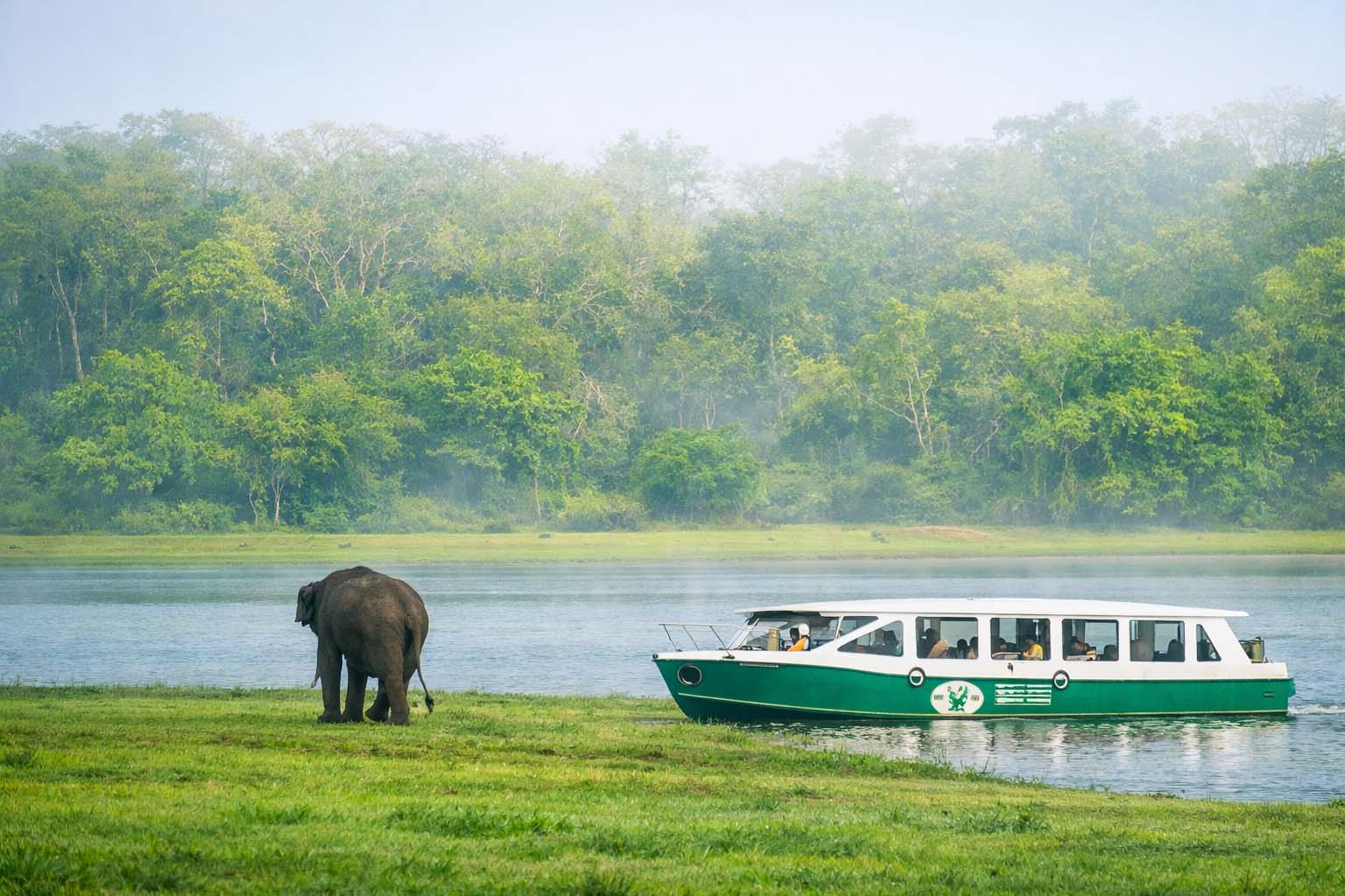 Infinity pool overlooking the Kabini River paddy landscape